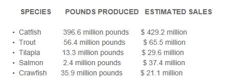 Fish Sale and Prodution Chart